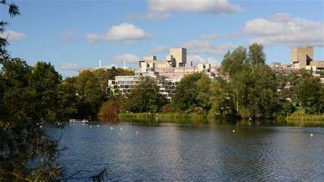 my uea|my uea org.